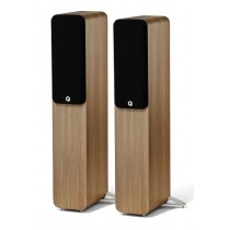 Q Acoustics Q 5040 Oak